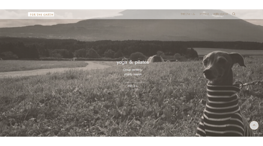 For the earthの画像