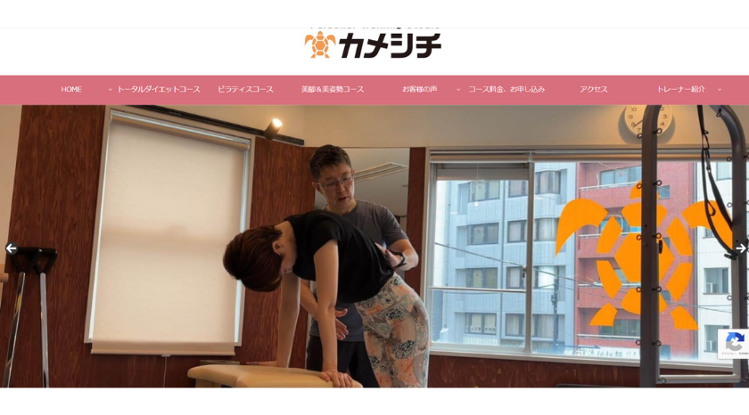 カメシチの画像