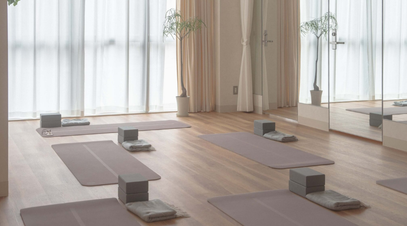 treetree studioの画像